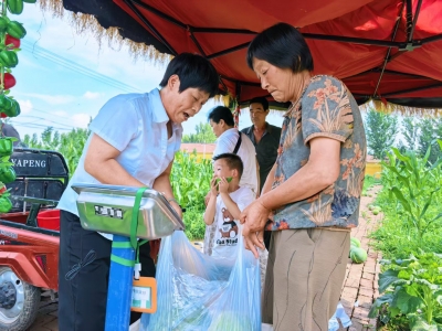 聚焦村（社区）新班子新作为新形象 | 庆云王铁匠村“两委”盘活边角地：“共享菜园”拓宽致富路