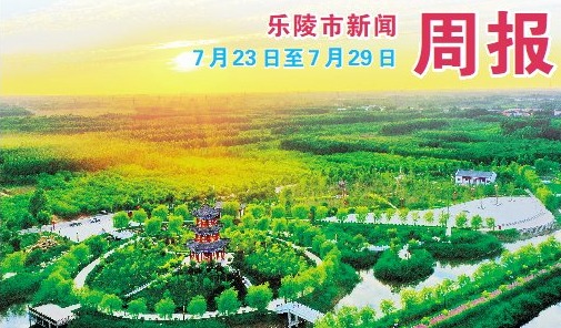 乐陵市新闻周报（7月23日至7月29日）