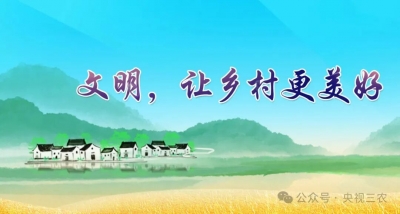 2026年中国文明乡风大会启幕！全国移风易俗展演12支队伍亮相临沂