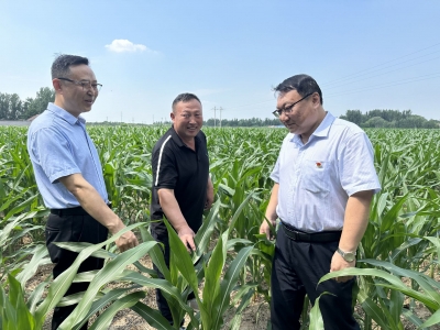 良田沃野“丰”景好！建行德州分行以金融之力赋能乡村振兴