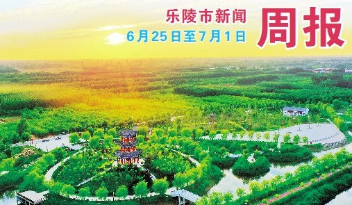 乐陵市新闻周报（6月25日至7月1日）