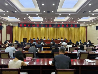 德州市妇联十七届三次执委会议召开 高静当选市妇联主席
