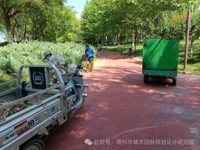 德州市城市园林规划设计研究院：精细管养，守护市民夏日游园平安