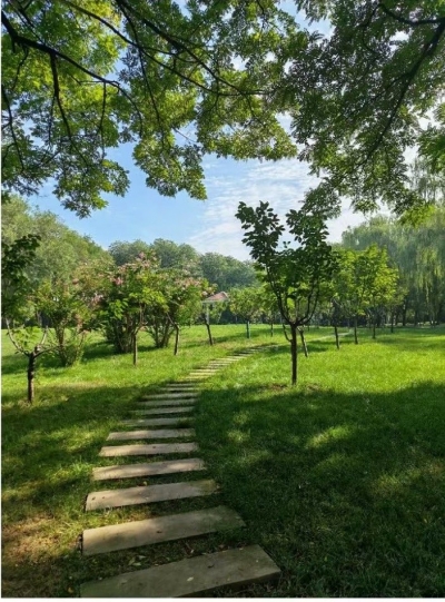 散文 | 高吉超：德州秋来景自怡