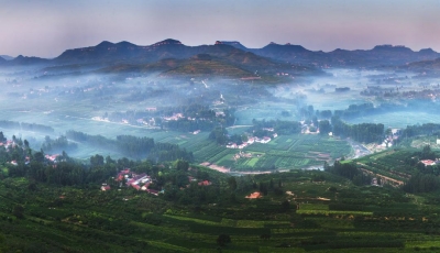 全国生态日丨从一座山一方林一片湖一株草，看见美丽山东