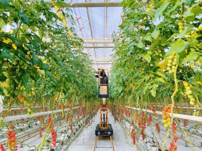 德州大力发展现代设施农业，强化科技支撑，提升全产业链发展质效 | 加快把农业建成现代化大产业