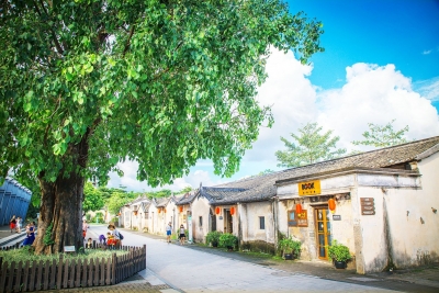 散文｜杨光来：故乡的老榆树