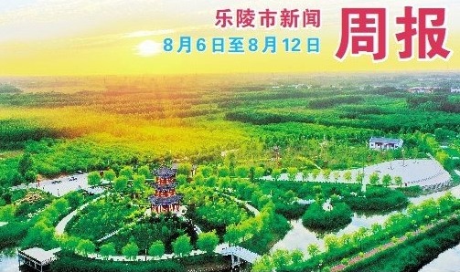 乐陵市新闻周报（8月6日至8月12日）