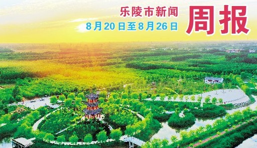 乐陵市新闻周报（8月20日至8月26日）
