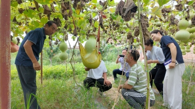 赵虎镇德旺新村 | 跨村交流探路葫芦产业 