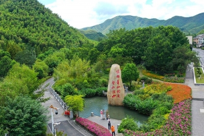 诗词 | 李凤林：在半盏秋声中咏荷（外一首）