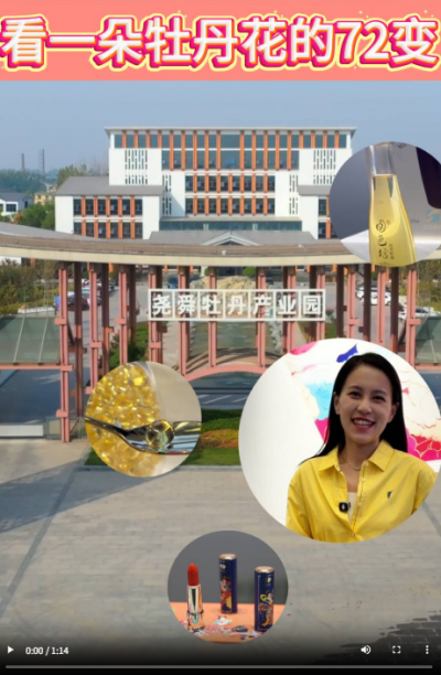 活力中国调研行｜看一朵牡丹花的72变