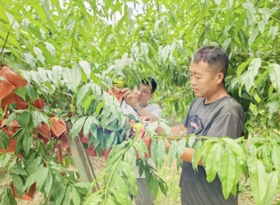 到群众中砺作风强本领 | 时集镇加强新一届村“两委”班子建设纪实