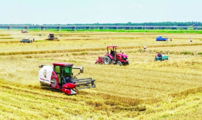 一项技术带来节本增产，看乐陵粮田水肥一体化的经济账