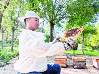 枣乡追梦人 网聚正能量 | “乐陵印象”运营负责人齐海涛：当好家乡特产代言人