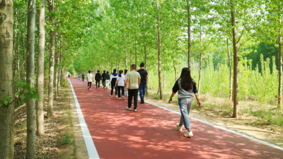 跑微马、认菜地、露营减河 | 抬头寺镇：田园变风景 闲置地生金