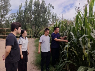 宁津县人大常委会：人大代表“链上履职” 护航秋粮丰收  