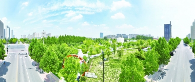 齐河禁放“新版地图”扩围：筑牢城市安全与生态防护屏障