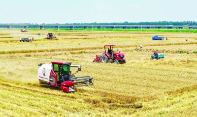 德水观澜·粮满仓好食光｜数字赋能沃野，绘就齐鲁农业新图景