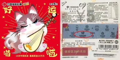 德州彩友5元刮出“好运喵喵”20万元头奖