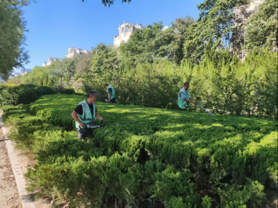 德州园林：护学“剪”影 “青”力守护开学季