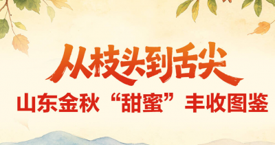 长图丨从枝头到舌尖 山东金秋“甜蜜”丰收图鉴