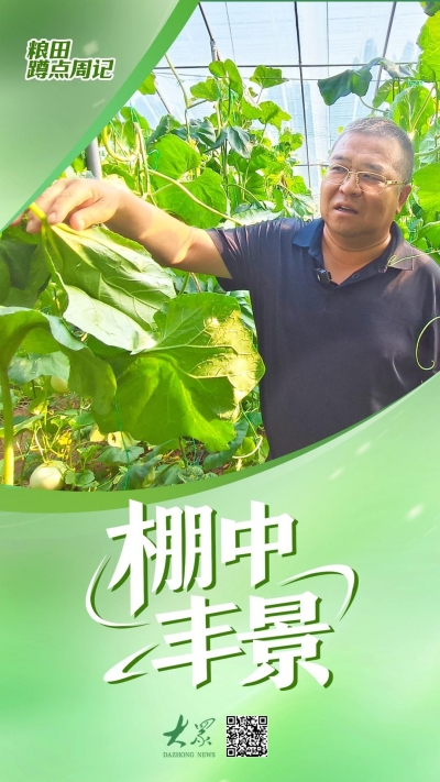 粮田蹲点周记｜棚中丰景