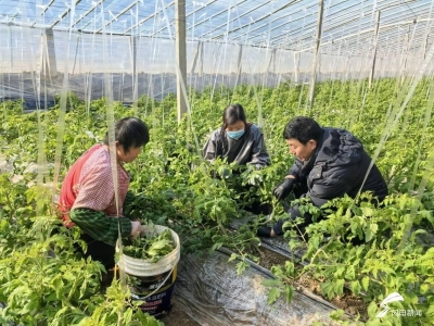 德水观澜 | 深耕特色农业，从“种得好”迈向“品牌强”