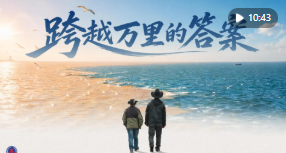 跨越万里的答案