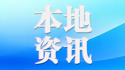 武城：“县镇同权”审批下沉 群众办事少跑腿