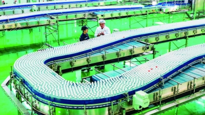 乐陵：乡土好物“长”成富民产业