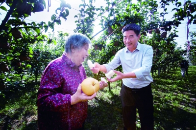 乐陵市铁营镇铁营新村大白张：盐碱地“长”出产业链 