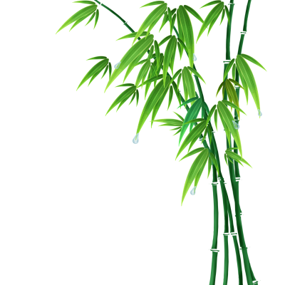 散文｜姜连华：西墙下那几丛翠竹