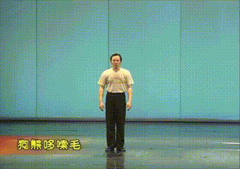 火出圈的“狗熊哆嗦毛”究竟是个啥