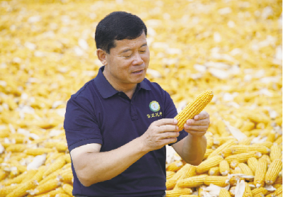 开局“十五五” 奋斗正当时·推进农业农村现代化 | 粮王话粮策