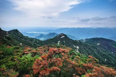 寒露凝秋色，齐鲁丰年正当时