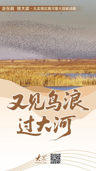 又见鸟浪过大河！请看黄河两岸的生态答卷