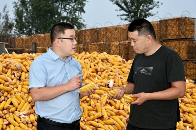 邮储银行德州市分行服务秋收一线——资金保障 不误农时不等“贷”