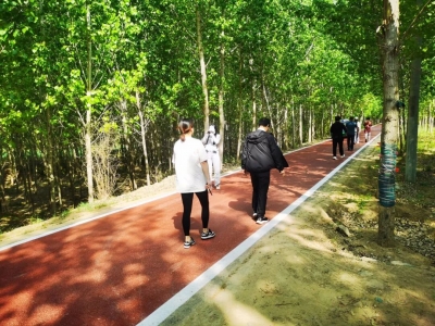 散文｜谭晓红：一窗秋影