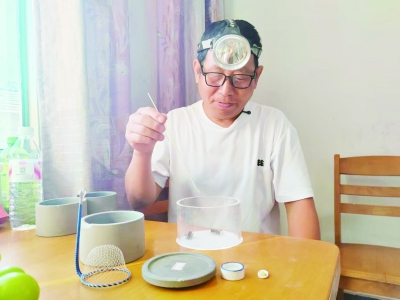 枣乡追梦人 网聚正能量 | “乐陵蟋蟀王刘哥”刘希堂：线下养殖线上售卖