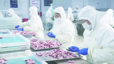 用一根烤串做强食品产业，托起乡邻增收饭碗：齐河“串姐”飘香全国
